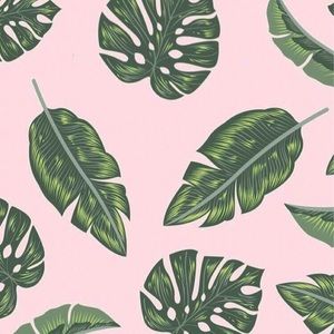 Meet your Posher, Sayeda